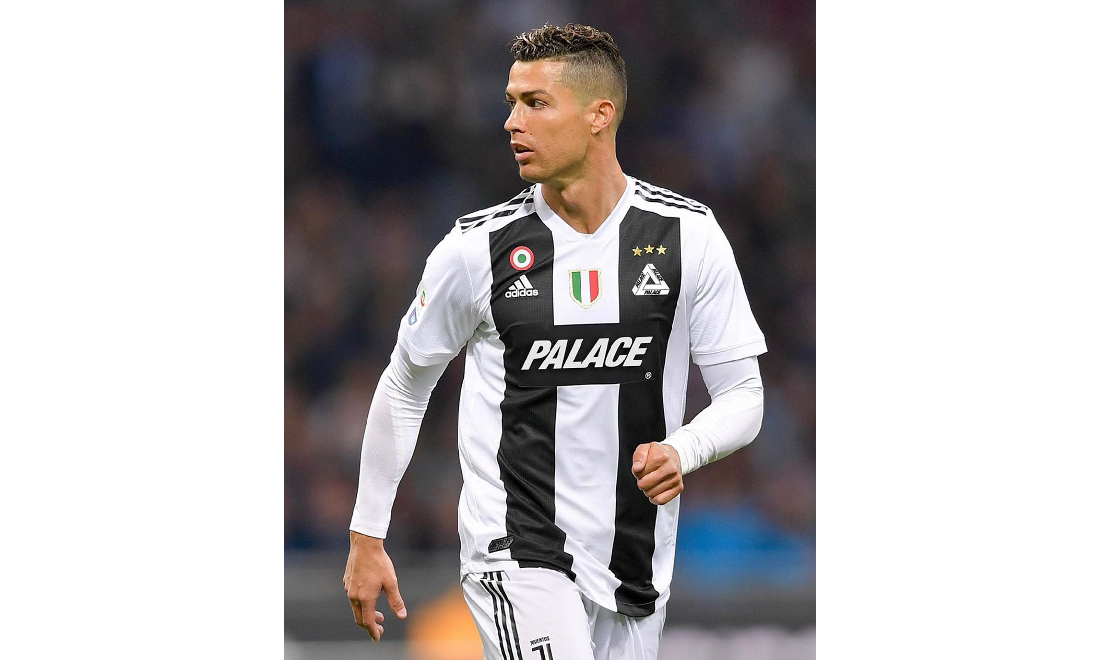 它把现代社 它把现代社